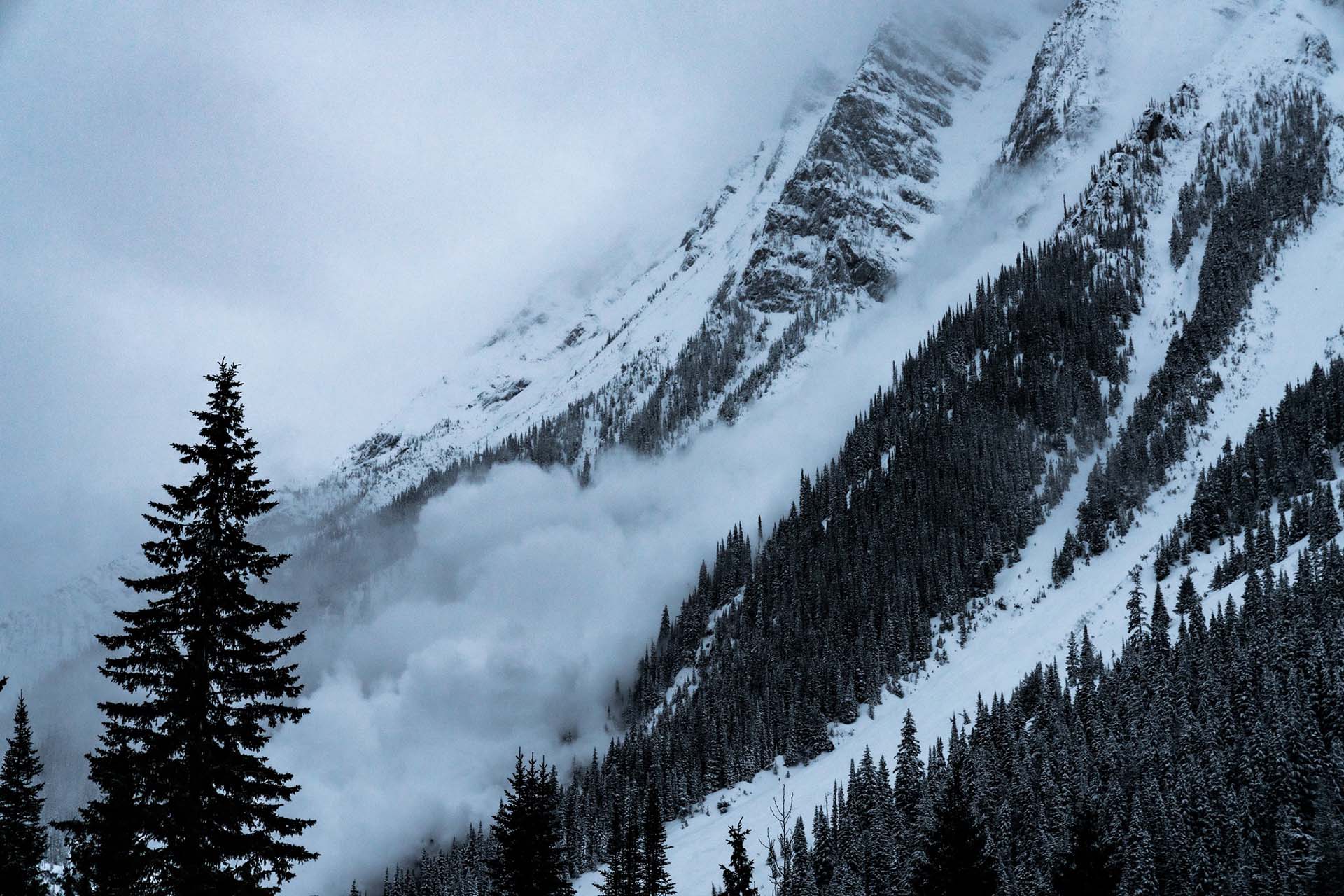 avalanche parks2
